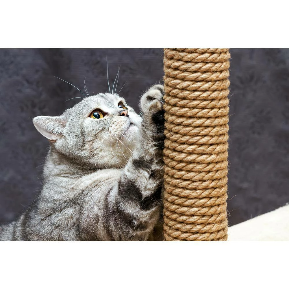 KingCord 1/2 in. x 300 ft. Sisal Twisted Rope 3-Strand, Natural - Image 4